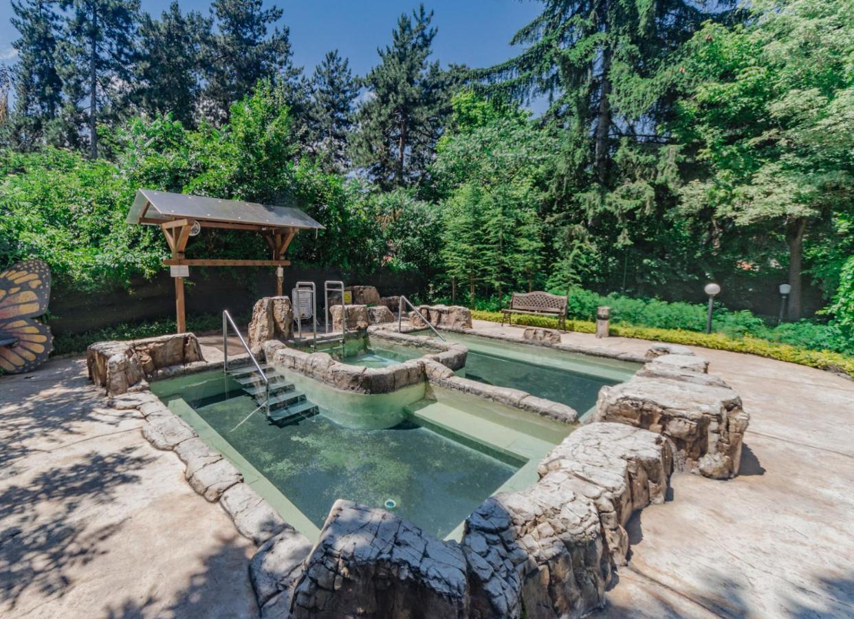 Spa Hotel Dvoretsa Welingrad Zewnętrze zdjęcie The hot springs at the resort